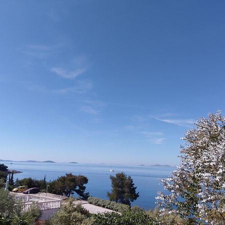 Amazing Villa Galeb In Murter Rom bilde